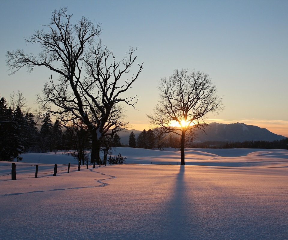 Обои небо, деревья, природа, закат, зима, the sky, trees, nature, sunset, winter разрешение 2074x1382 Загрузить