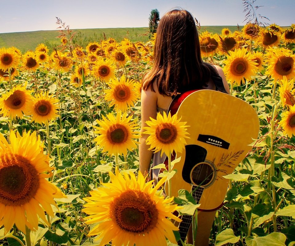 Обои девушка, поле, гитара, лето, подсолнухи, girl, field, guitar, summer, sunflowers разрешение 1920x1080 Загрузить