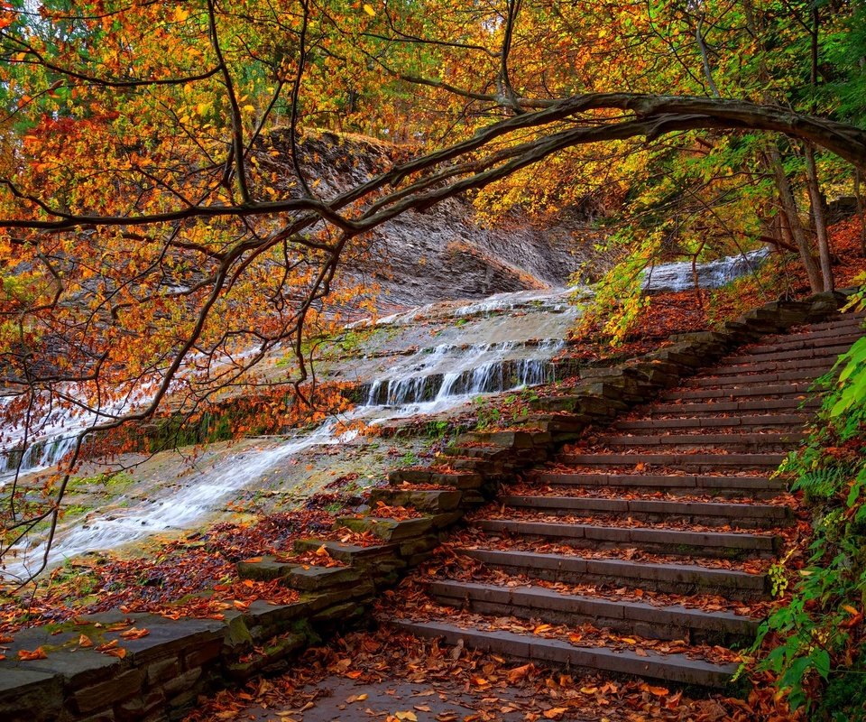 Обои деревья, вода, лестница, ступеньки, парк, листва, осень, поток, trees, water, ladder, steps, park, foliage, autumn, stream разрешение 2048x1367 Загрузить