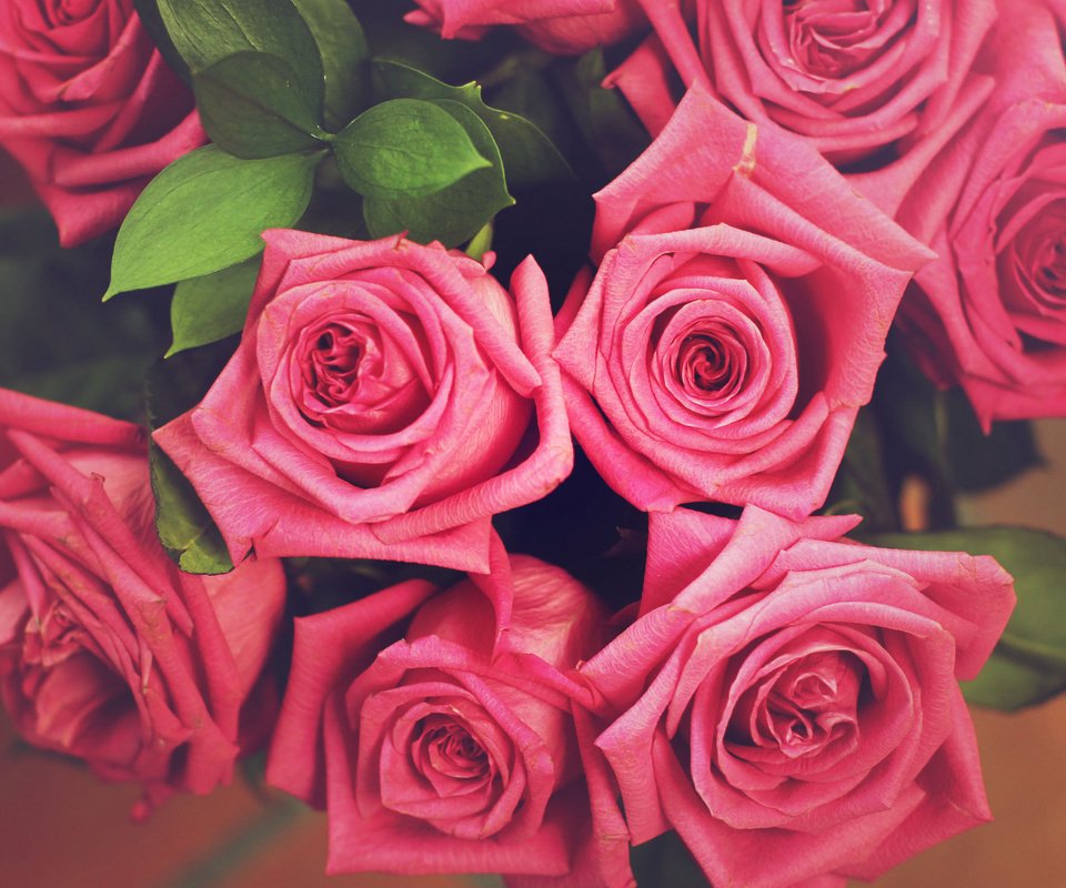 Обои цветы, розы, букет, flowers, roses, bouquet разрешение 2048x1463 Загрузить