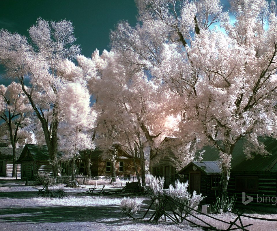 Обои небо, дом, сша, монтана, bannack state park, the sky, house, usa, montana разрешение 1920x1200 Загрузить