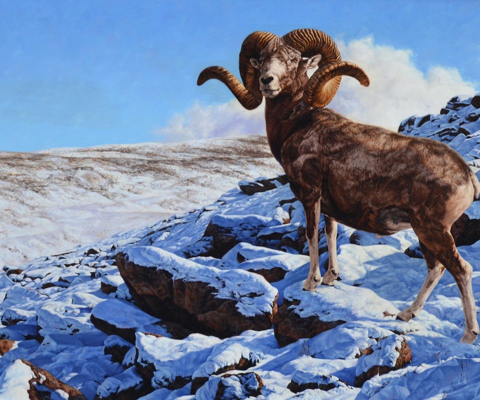 Обои горы, рога, козел, mountains, horns, goat разрешение 2048x1202 Загрузить