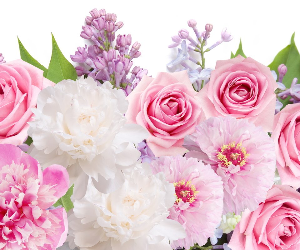 Обои цветы, розы, сирень,  цветы, пионы, роз, lilacs, flowers, roses, lilac, peonies разрешение 5777x3843 Загрузить