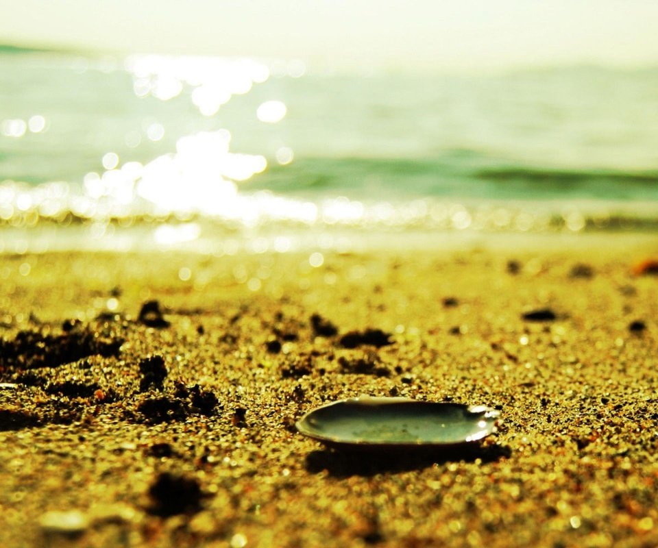 Обои вода, песок, пляж, релакс, ракушка, water, sand, beach, relax, shell разрешение 1920x1200 Загрузить
