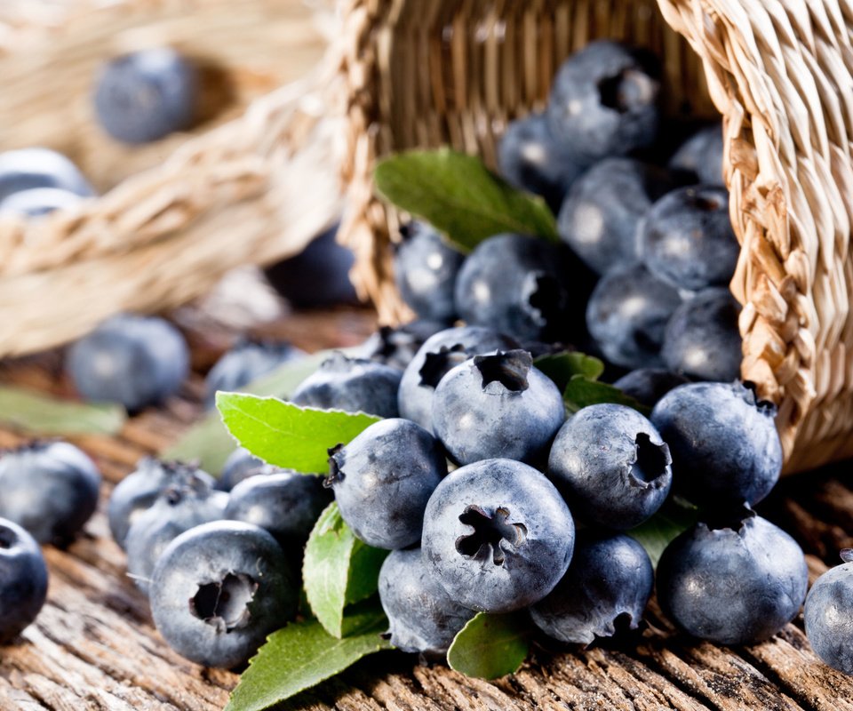 Обои ягода, ягоды, лесные ягоды, черника, корзинка, парное, черничный, черника.корзинка, berry, berries, blueberries, basket, fresh, blueberry, blueberries.basket разрешение 3840x2400 Загрузить