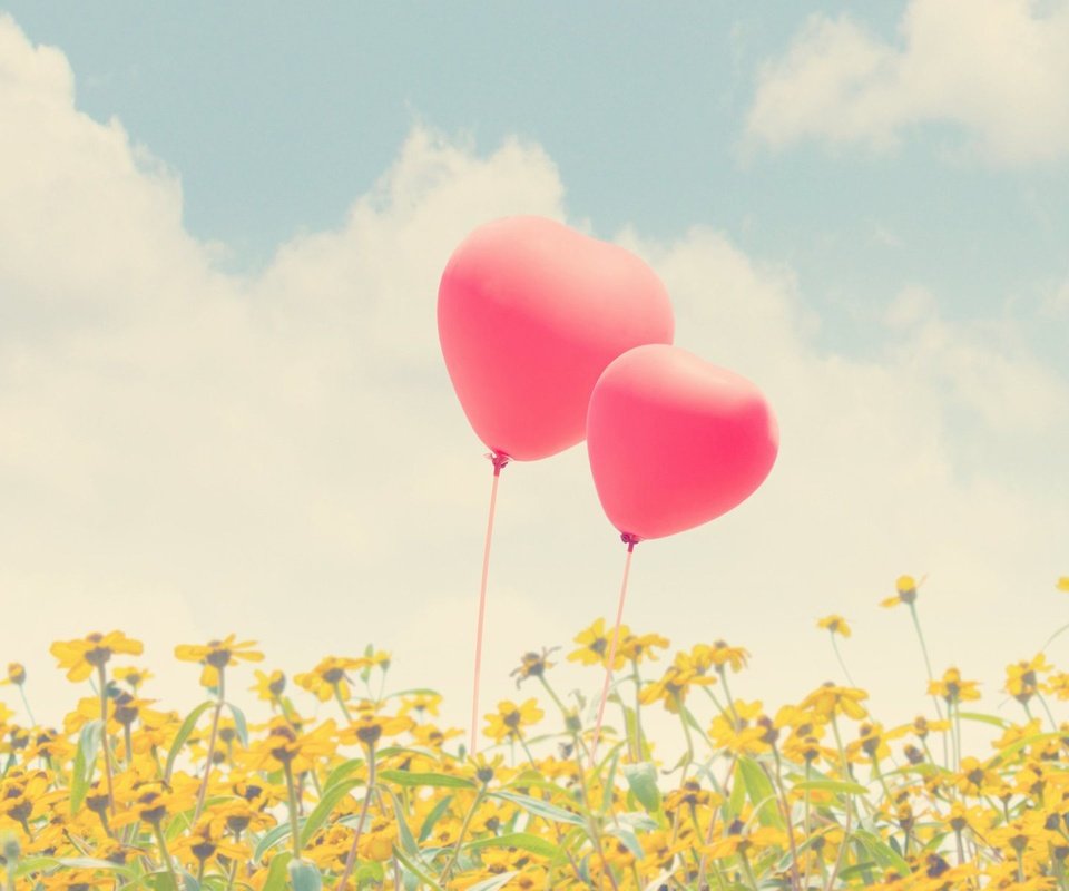 Обои небо, цветы, воздушные шары, the sky, flowers, balloons разрешение 1920x1200 Загрузить