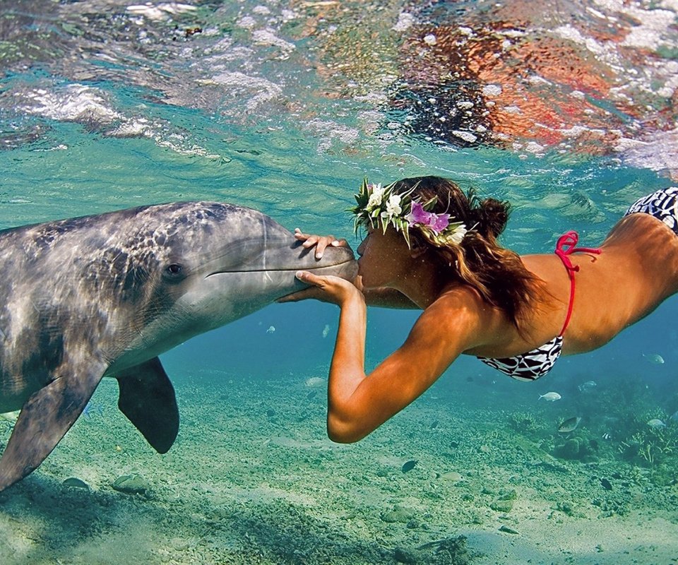 Обои вода, девушка, море, поцелуй, дельфин, water, girl, sea, kiss, dolphin разрешение 1920x1200 Загрузить