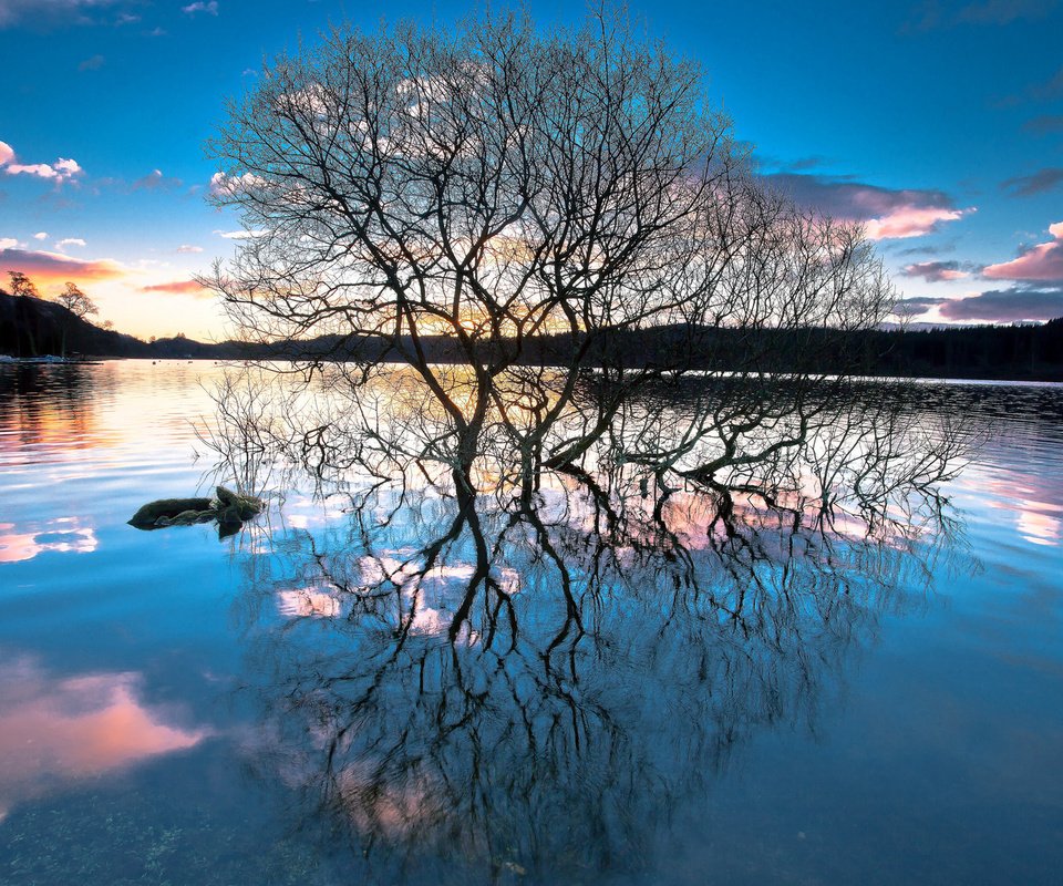 Обои деревья, озеро, лес, закат, отражение, trees, lake, forest, sunset, reflection разрешение 1920x1200 Загрузить