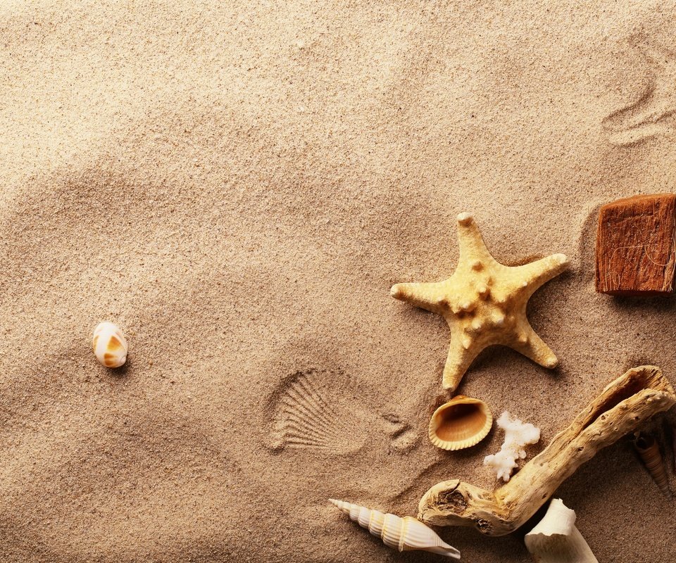 Обои макро, песок, ракушки, морская звезда, macro, sand, shell, starfish разрешение 1920x1280 Загрузить