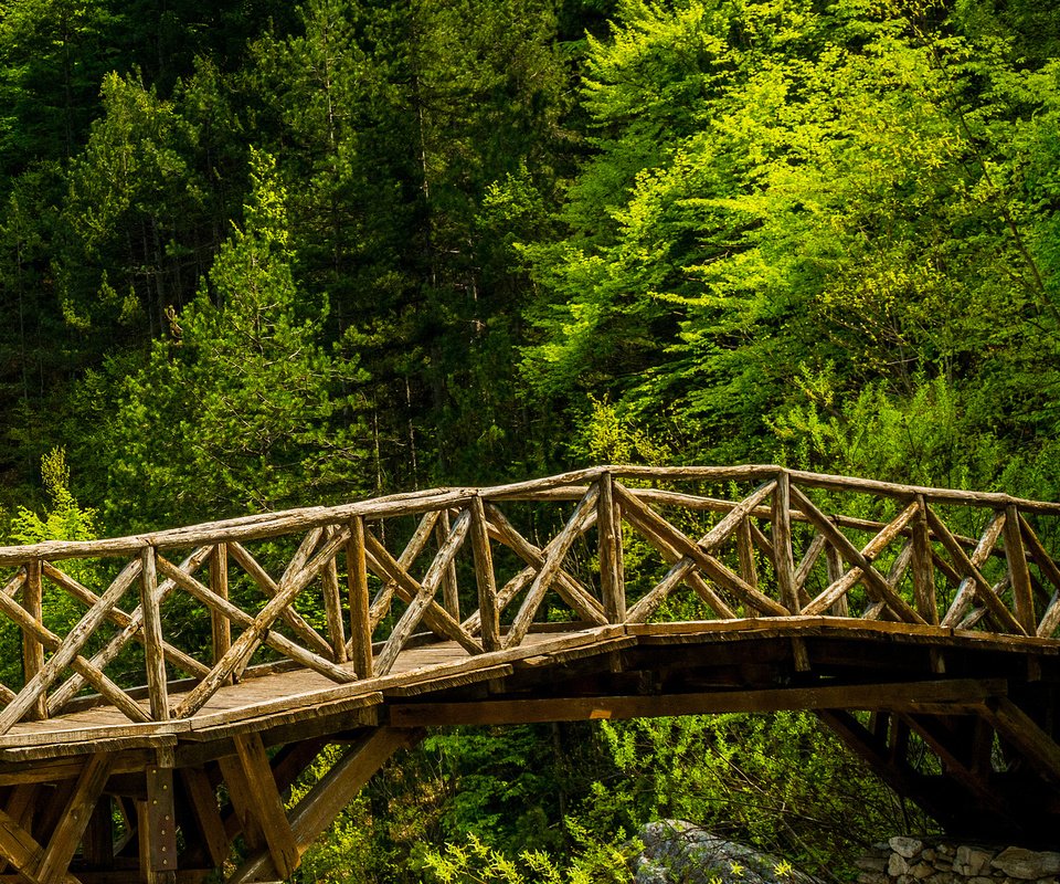 Обои деревья, природа, лес, мост, trees, nature, forest, bridge разрешение 2048x1152 Загрузить