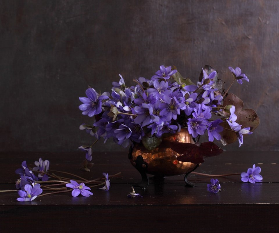Обои цветы, букет, ваза, синие, натюрморт, анемона, ветреница, natalie panga, flowers, bouquet, vase, blue, still life, anemone разрешение 1920x1281 Загрузить