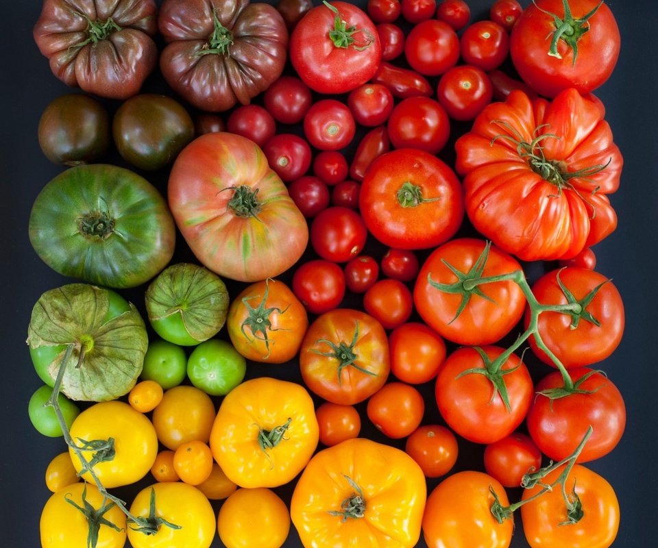 Обои разноцветные, урожай, овощи, помидоры, томаты, colorful, harvest, vegetables, tomatoes разрешение 1920x1771 Загрузить