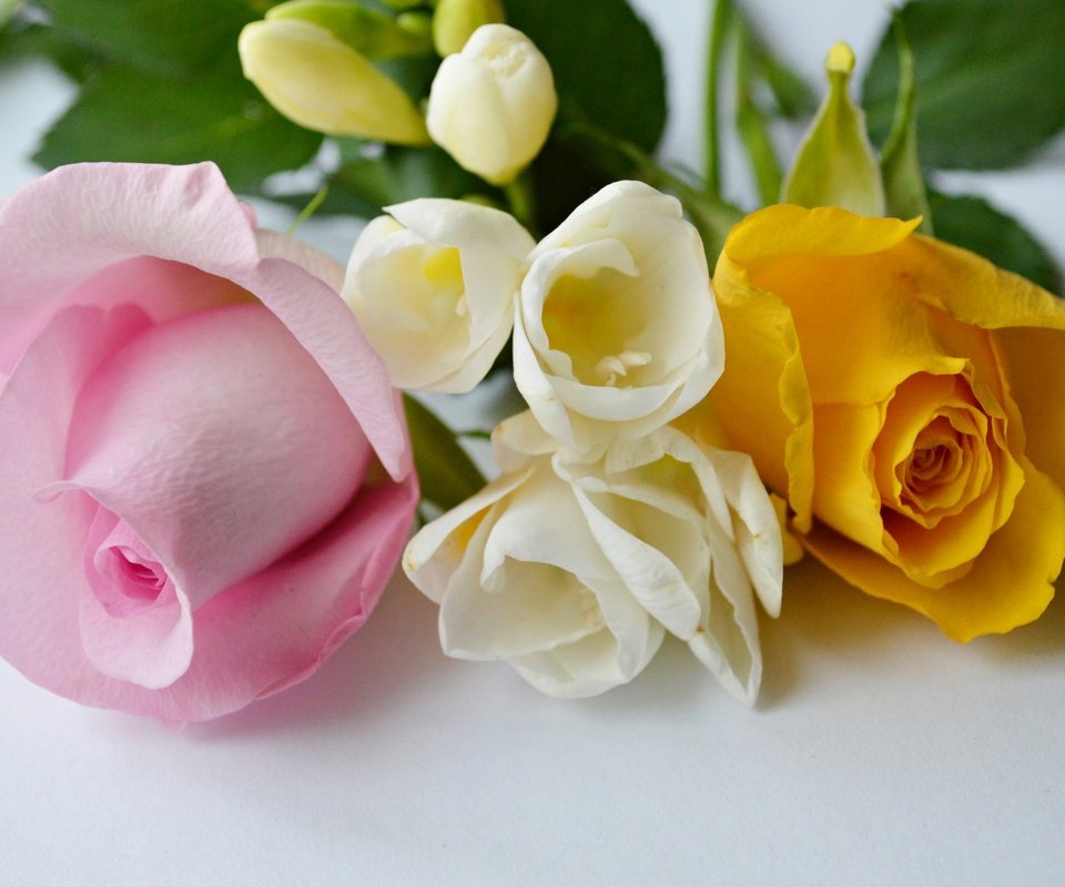 Обои цветы, розы, лепестки, бутон, букет, flowers, roses, petals, bud, bouquet разрешение 2048x1354 Загрузить