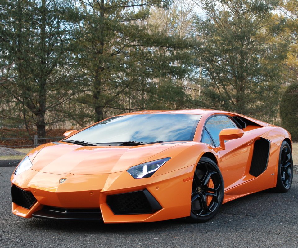 Обои апельсин, ламборгини, авентадор, lp700-4, orange, lamborghini, aventador разрешение 2560x1600 Загрузить