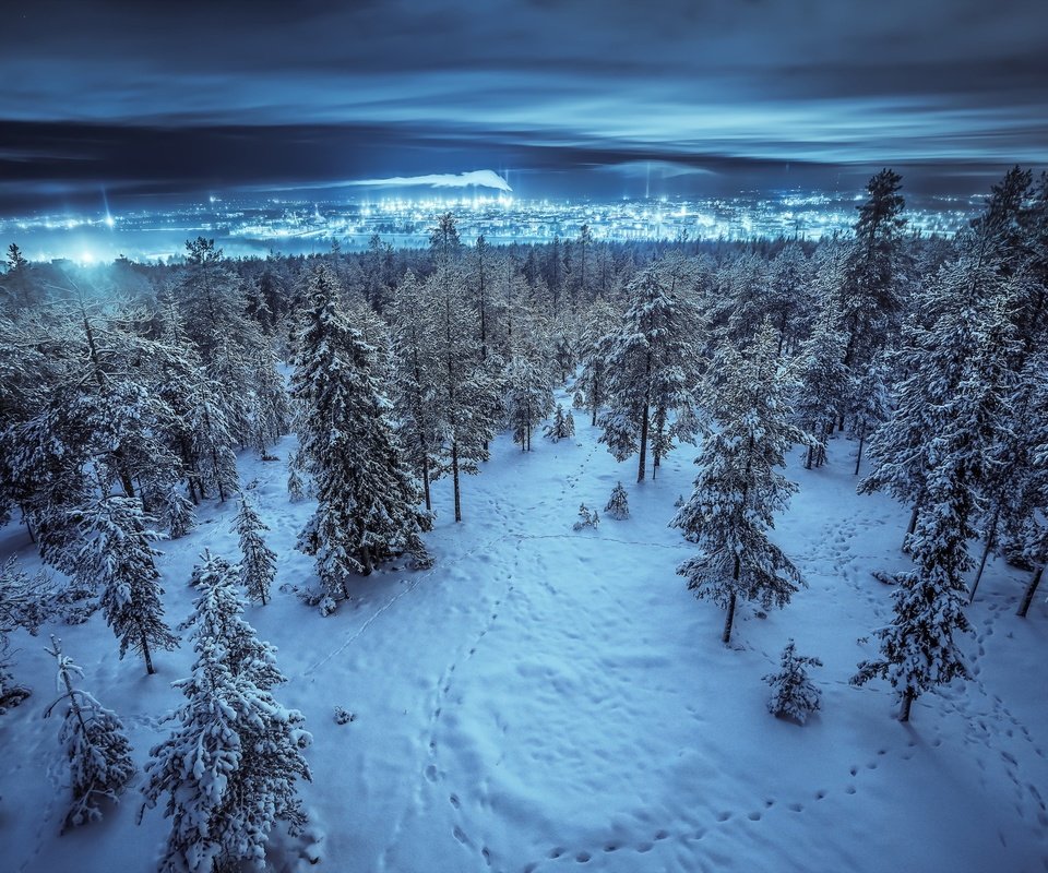 Обои ночь, деревья, снег, лес, зима, пейзаж, город, night, trees, snow, forest, winter, landscape, the city разрешение 2048x1322 Загрузить