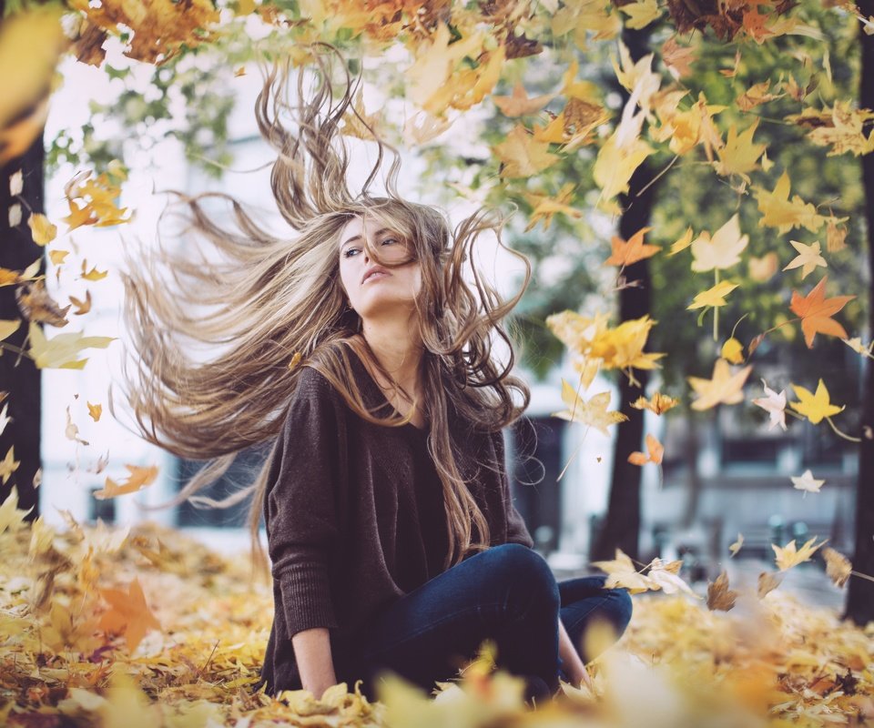 Обои листья, девушка, осень, волосы, дэвид olkarny, leaves, girl, autumn, hair, david olkarny разрешение 2880x1920 Загрузить