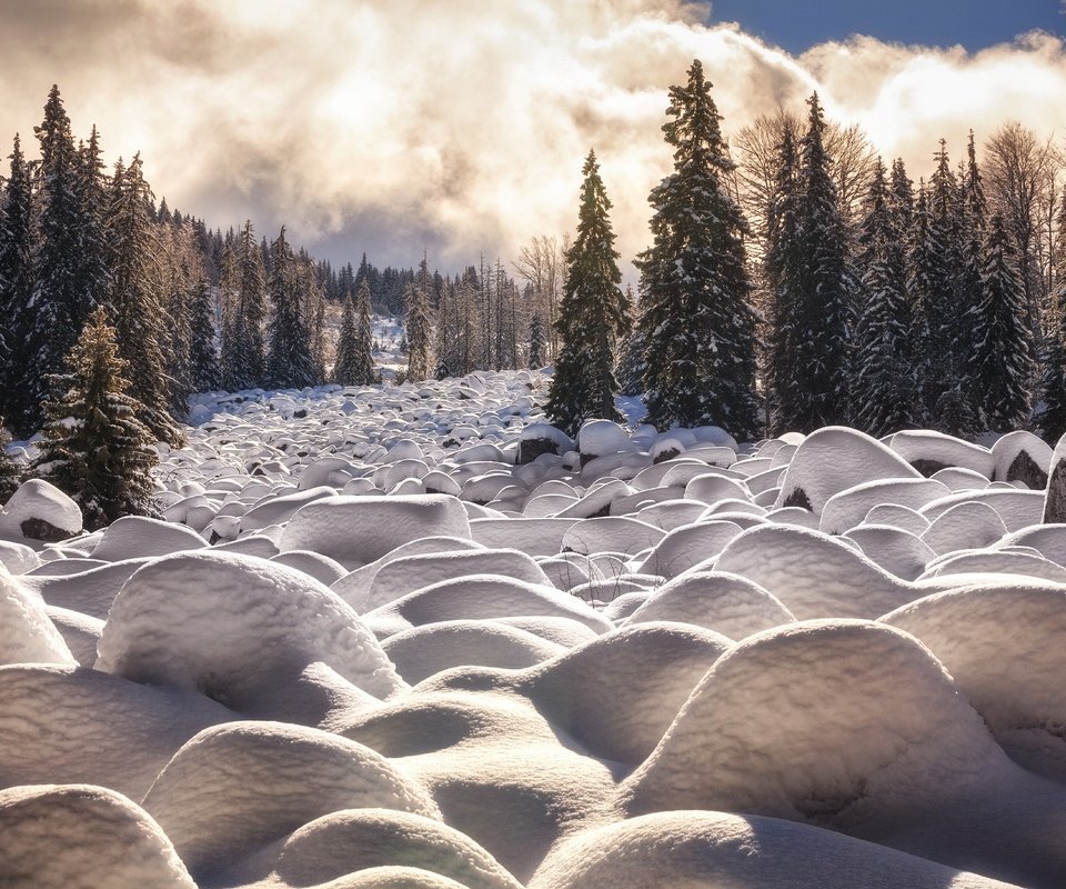 Обои облака, деревья, снег, камни, лес, зима, winter cascade, martin stantchev, clouds, trees, snow, stones, forest, winter разрешение 2048x1365 Загрузить