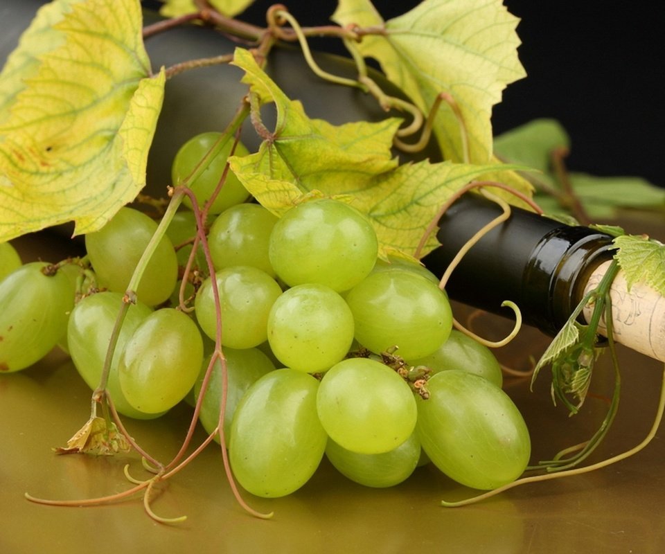 Обои листья, виноград, белый, вино, белое, бутылка, усики, пробка, leaves, grapes, white, wine, bottle, antennae, tube разрешение 1920x1280 Загрузить