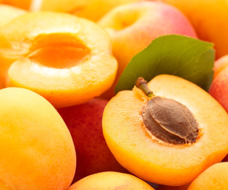 Обои макро, лето, фрукты, абрикос, плоды, абрикосы, macro, summer, fruit, apricot, apricots разрешение 2048x1365 Загрузить