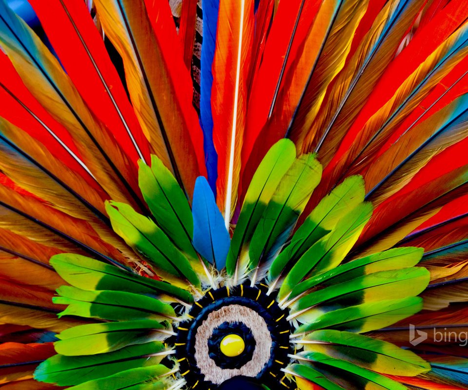 Обои макро, краски, перья, ацтеки, головной убор, macro, paint, feathers, the aztecs, headdress разрешение 1920x1200 Загрузить