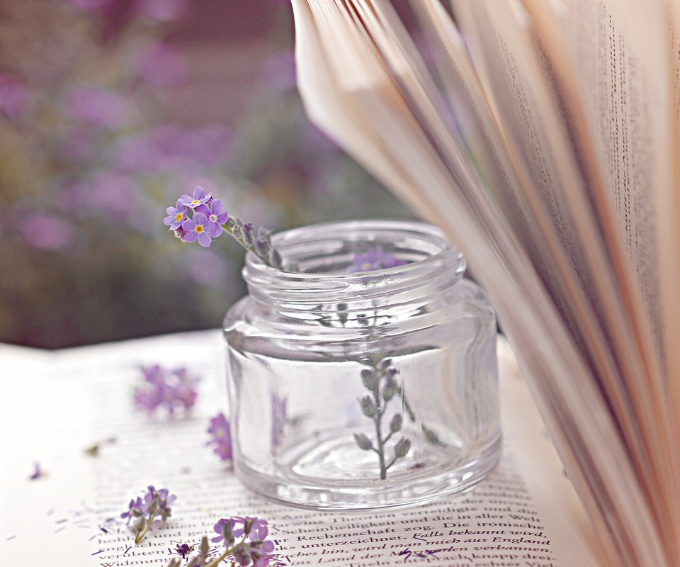 Обои цветы, книга, банка, страницы, баночка, пузырёк, flowers, book, bank, page, jar, bubble разрешение 5184x3456 Загрузить