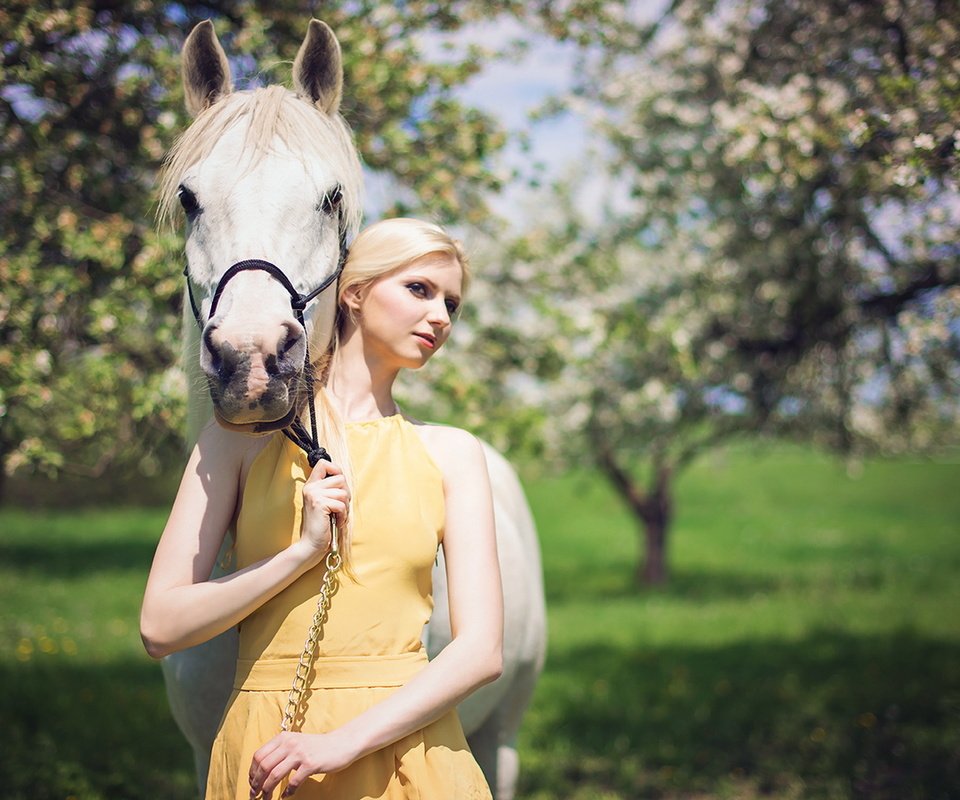 Обои лошадь, платье, блондинка, сад, horse, dress, blonde, garden разрешение 1920x1200 Загрузить