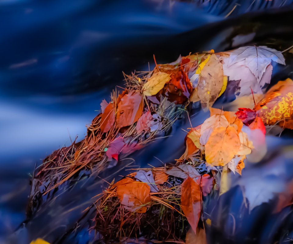 Обои река, камни, листья, ручей, осень, поток, осенние листья, river, stones, leaves, stream, autumn, autumn leaves разрешение 1931x1291 Загрузить