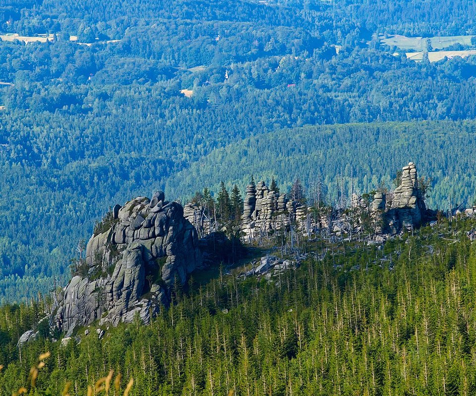 Обои деревья, скалы, природа, лес, пейзаж, trees, rocks, nature, forest, landscape разрешение 2560x1600 Загрузить