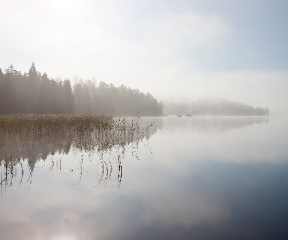 Обои небо, деревья, река, отражение, пейзаж, туман, the sky, trees, river, reflection, landscape, fog разрешение 3360x2100 Загрузить