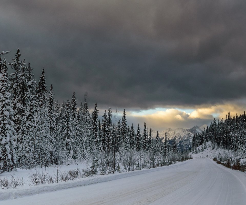 Обои дорога, горы, снег, лес, тучи, ели, road, mountains, snow, forest, clouds, ate разрешение 1920x1200 Загрузить