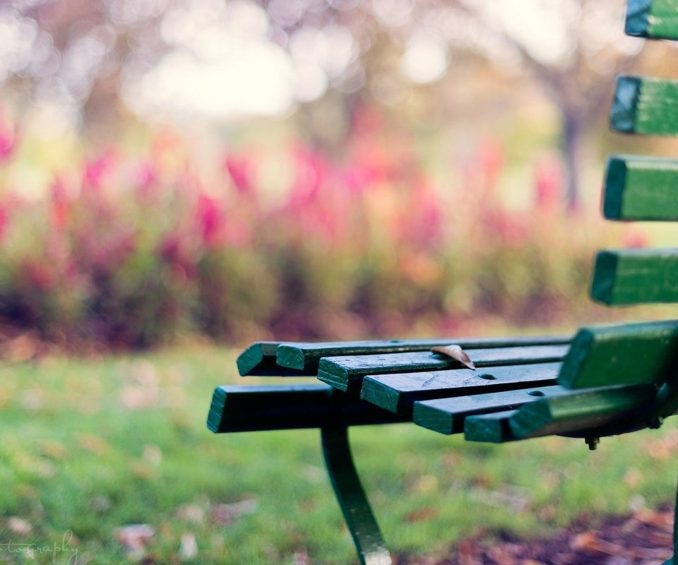 Обои скамейка, настроения, листик, скамья, лавочка, лавка, bench, mood, leaf, shop разрешение 1920x1200 Загрузить