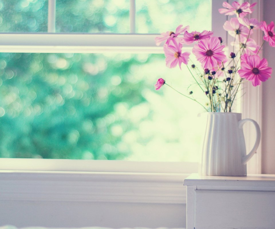 Обои цветы, букет, окно, ваза, космея, flowers, bouquet, window, vase, kosmeya разрешение 2560x1600 Загрузить