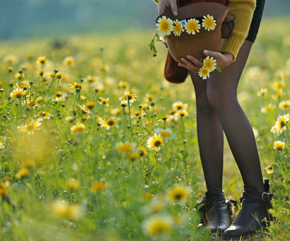 Обои цветы, девушка, настроение, лето, ноги, шляпа, flowers, girl, mood, summer, feet, hat разрешение 2560x1707 Загрузить