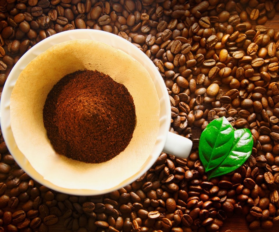 Обои кофе, чашка, кофейные зерна, кубок, бобы, coffee, cup, coffee beans, beans разрешение 2880x1920 Загрузить