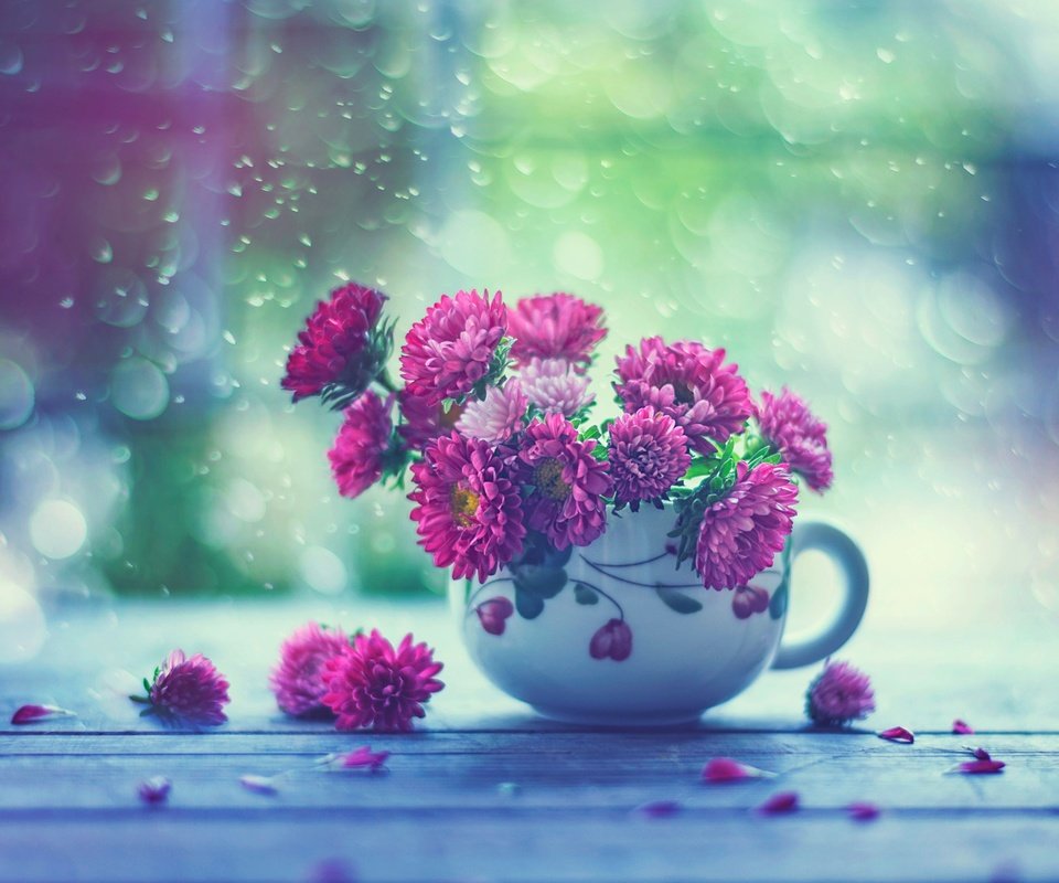 Обои цветы, капли, дождь, кружка, окно, астры, flowers, drops, rain, mug, window, asters разрешение 2048x1587 Загрузить