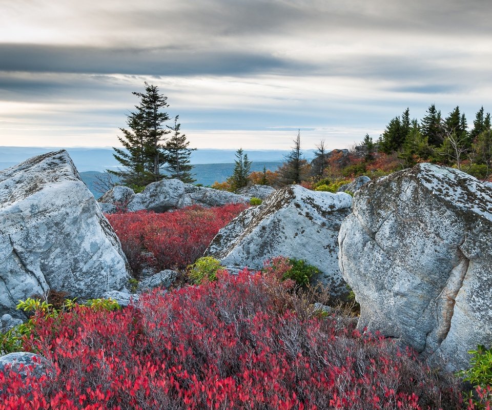 Обои горы, медвежьи скалы, mountains, bear rocks разрешение 1920x1080 Загрузить