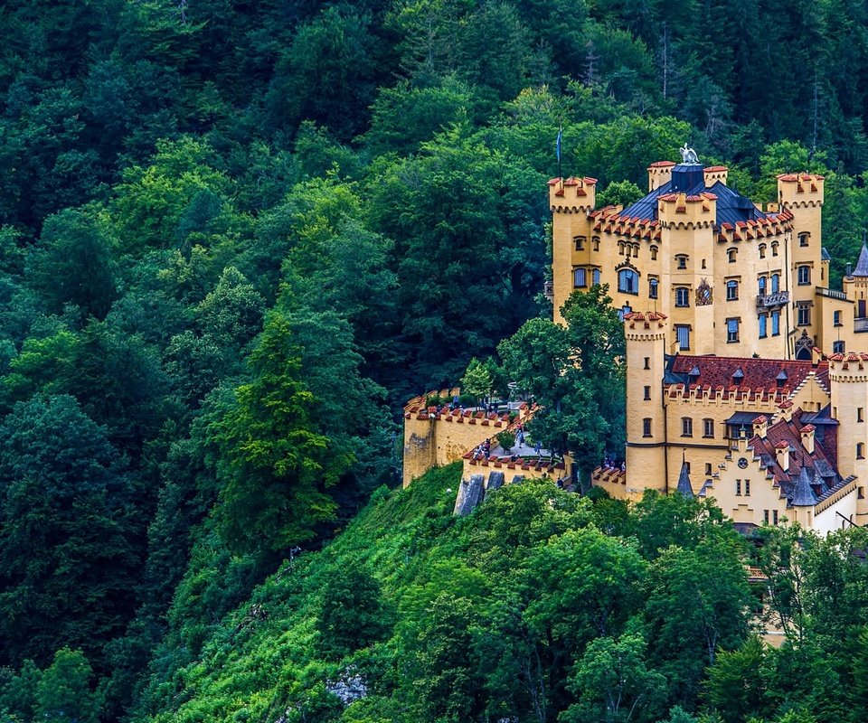 Обои лес, замок, германия, бавария, хоэншвангау, красочная, forest, castle, germany, bayern, hohenschwangau, colorful разрешение 2560x1600 Загрузить