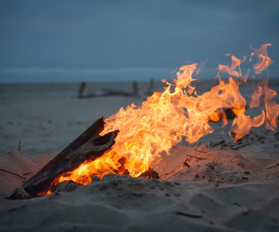 Обои песок, пляж, огонь, костёр, sand, beach, fire, the fire разрешение 2048x1356 Загрузить