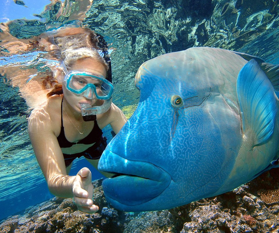 Обои девушка, океан, под водой, рыба, girl, the ocean, under water, fish разрешение 1920x1200 Загрузить