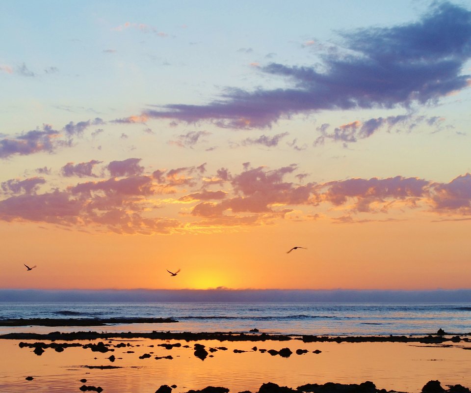 Обои море, пляж, рассвет, чайки, sea, beach, dawn, seagulls разрешение 4874x2655 Загрузить