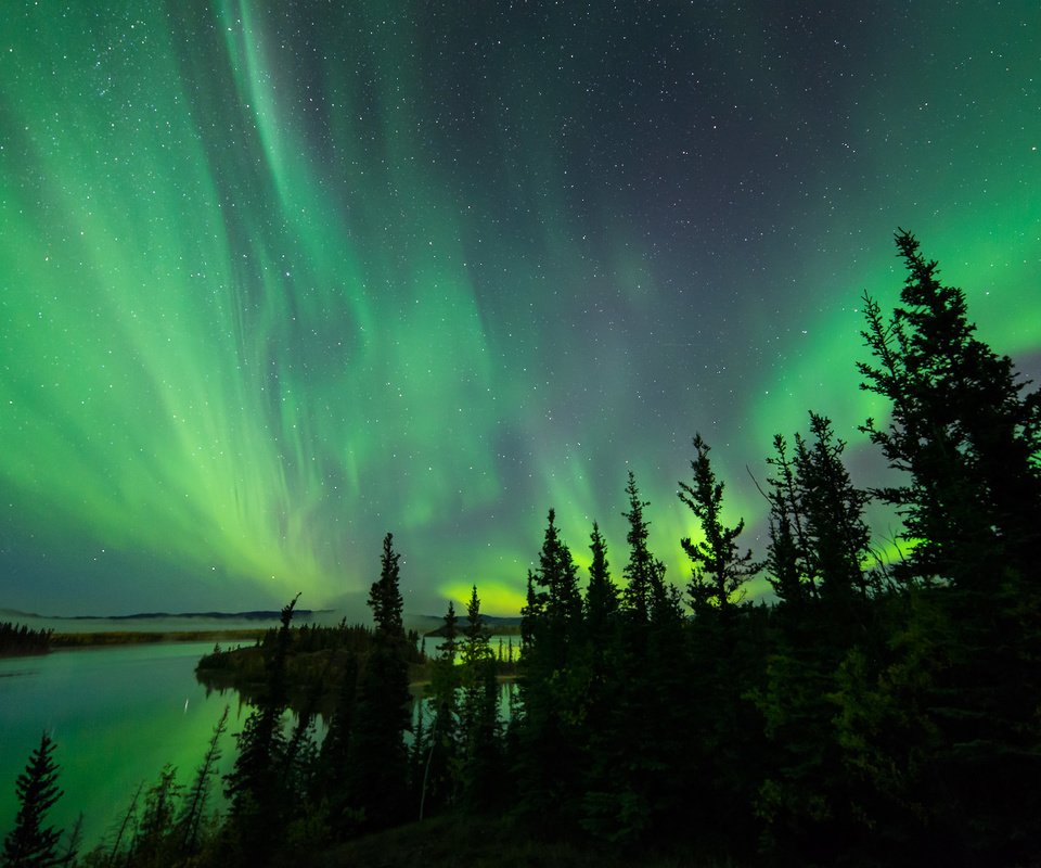 Обои небо, деревья, озеро, северное сияние, силуэты, aurora borealis, северные огни, the sky, trees, lake, northern lights, silhouettes разрешение 2048x1367 Загрузить