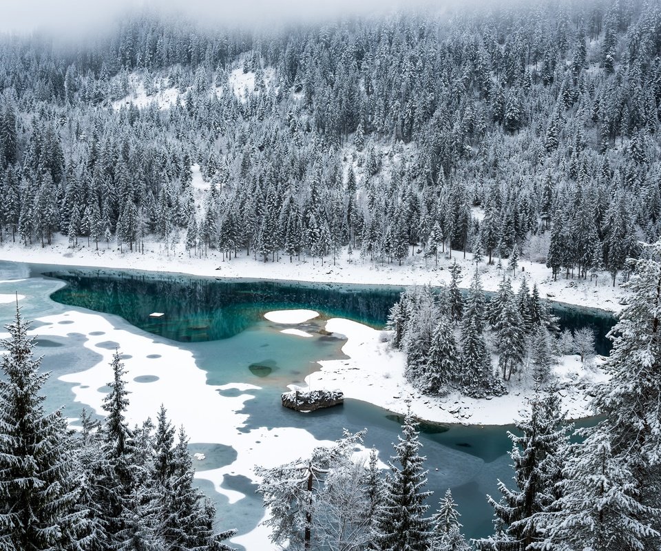 Обои снег, лес, зима, швейцария, озеро каума, флимс, snow, forest, winter, switzerland, lake cauma, flims разрешение 3000x2003 Загрузить