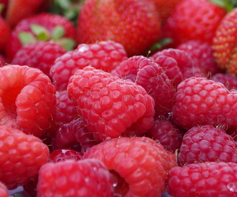 Обои макро, малина, ягоды, macro, raspberry, berries разрешение 4608x2592 Загрузить