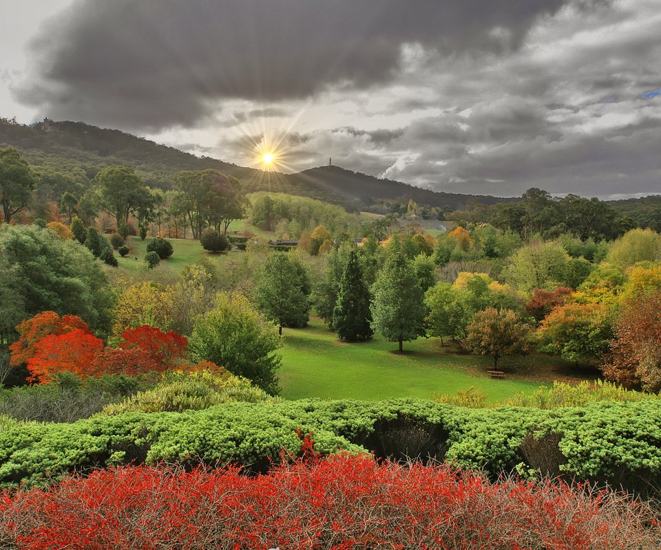 Обои пейзаж, осень, lofty botanic gardens, аделаида-хиллс, южная австралия, landscape, autumn, adelaide hills, south australia разрешение 2256x1496 Загрузить