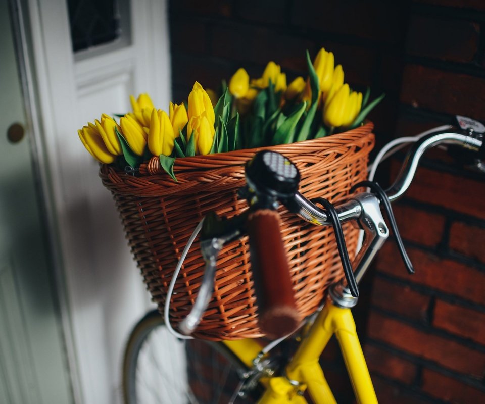 Обои цветы, корзина, тюльпаны, красивые, велосипед, flowers, basket, tulips, beautiful, bike разрешение 2880x1922 Загрузить