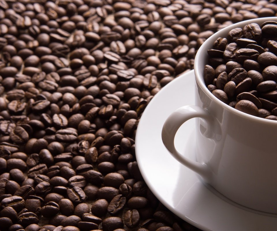 Обои зерна, кофе, чашка, кофейные, кофейные зерна, grain, coffee, cup, coffee beans разрешение 3000x2000 Загрузить