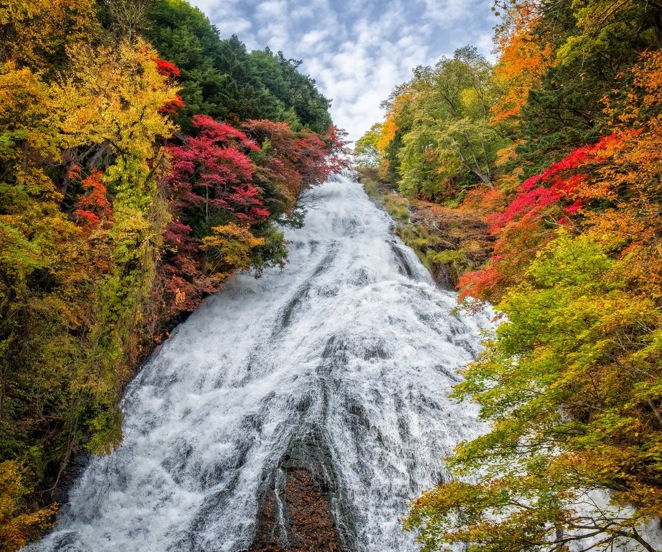 Обои деревья, пейзаж, водопад, осень, япония, yudaki waterfall, trees, landscape, waterfall, autumn, japan разрешение 2880x1920 Загрузить