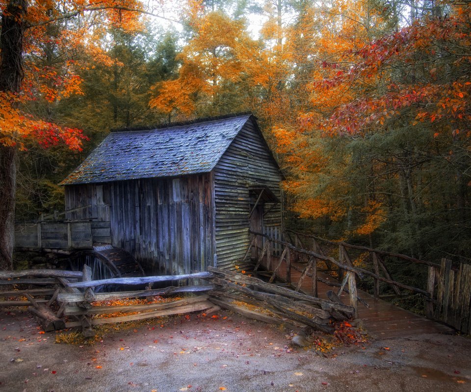 Обои лес, осень, мельница, дом, водяная мельница, forest, autumn, mill, house, water mill разрешение 2048x1367 Загрузить