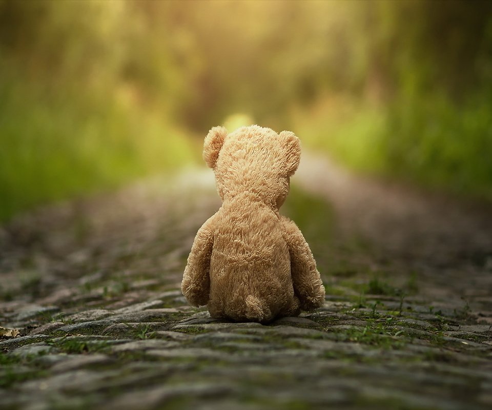 Обои дорога, медведь, мишка, игрушка, плюшевый мишка, мягкая игрушка, road, bear, toy, teddy bear, soft toy разрешение 1920x1148 Загрузить