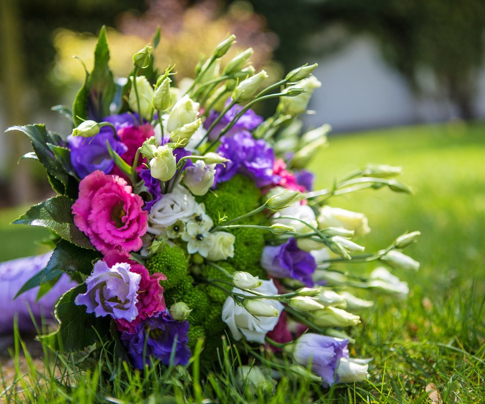 Обои цветы, букет,  цветы, эустома, flowers, bouquet, eustoma разрешение 5472x3648 Загрузить